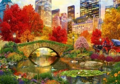 Bluebird - Legpuzzel - Central Park NYC - 4000 stukjes