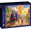 Bluebird - Legpuzzel - Following The Train - 1000 stukjes