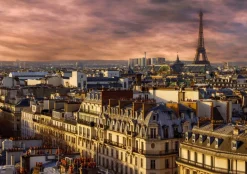 Bluebird - Legpuzzel - Paris, Frankrijk - 1000 stukjes