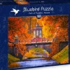 Bluebird - Legpuzzel - Park of Pushkin, Russia - 1500 stukjes