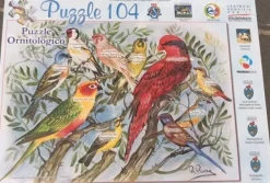 Clementoni - Legpuzzel - ornittol 1 90974 - 100 stukjes