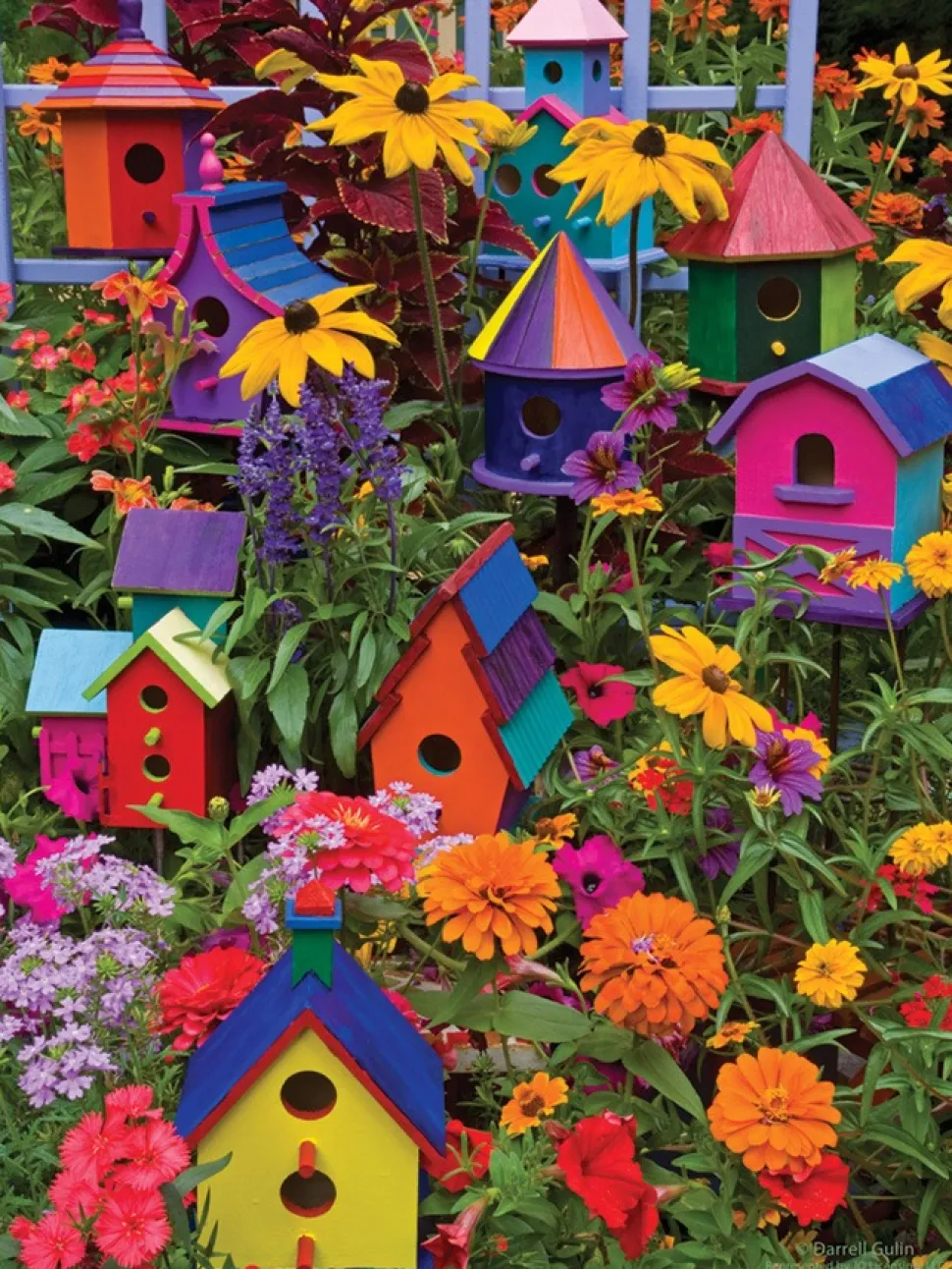 Cobble Hill - Legpuzzel - Birdhouses - 275 XL stukjes