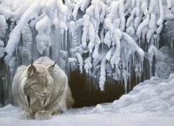 Cobble Hill - Legpuzzel - Dozing Lynx - 1000 stukjes