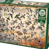 Cobble Hill - Legpuzzel - Ducks of North America - 1000 stukjes