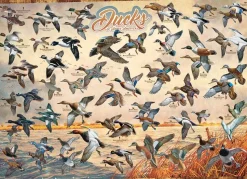 Cobble Hill - Legpuzzel - Ducks of North America - 1000 stukjes
