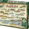 Cobble Hill - Legpuzzel - Freshwater Fish of North America - 1000 stukjes