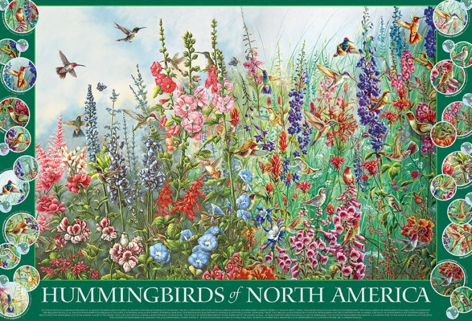 Cobble Hill - Legpuzzel - Hummingbirds Of North America - 2000 stukjes