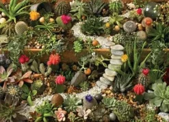 Cobble Hill - Legpuzzel - Succulent Garden - 1000 stukjes