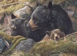 Cobble Hill - Legpuzzel - Twice the Love - 1000 stukjes