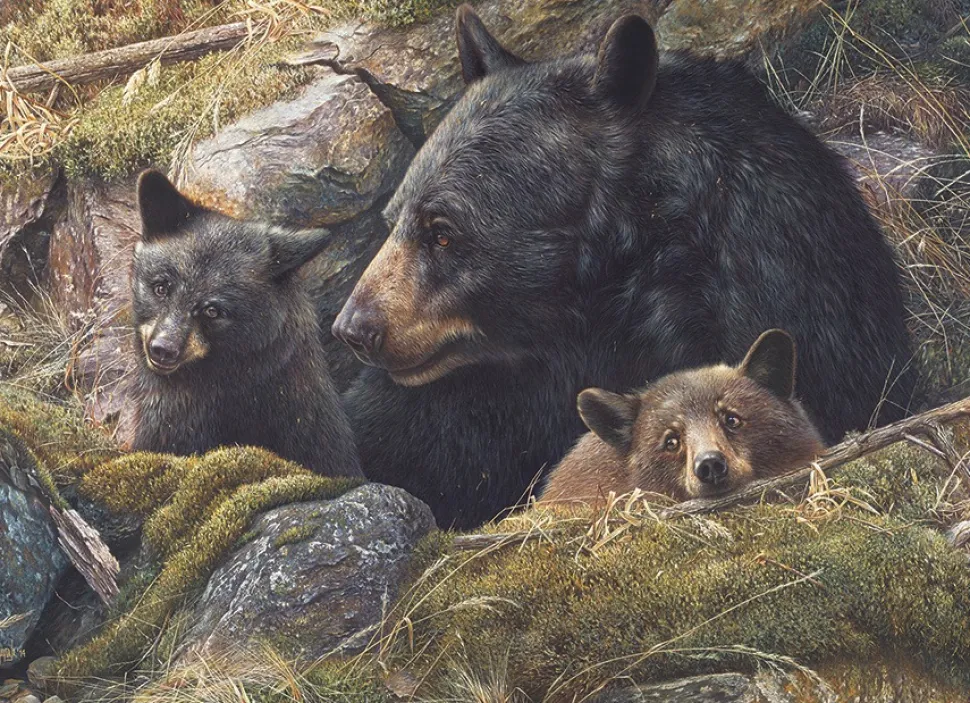 Cobble Hill - Legpuzzel - Twice the Love - 1000 stukjes