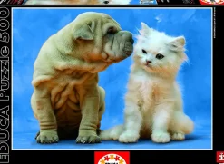 Educa - Legpuzzel - Geheimen - 500 stukjes