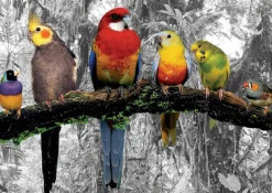 Educa - Legpuzzel - Gekleurde Vogels in de Jungle - 500 stukjes