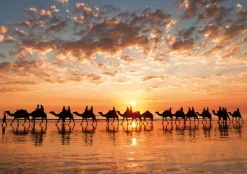 Educa - Legpuzzel - Gouden Bol-Cable Beach Australië - 1000 stukjes