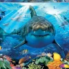 Educa - Legpuzzel - Grote Witte Haai - 500 stukjes