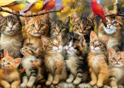 Educa - Legpuzzel - Katjes en Vogels - 500 stukjes