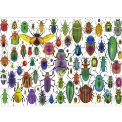 Educa - Legpuzzel - Kevers - 500 stukjes