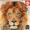 Educa - Legpuzzel - Leeuwenkop - 367 stukjes