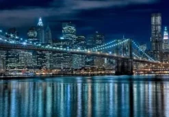 Educa - Legpuzzel - Manhattan Bij Nacht - 1000 stukjes