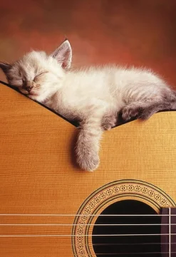 Educa - Legpuzzel - Mijn Gitaar - 500 stukjes