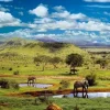 Educa - Legpuzzel - Nationaal Park Tsavo, Kenia - 500 stukjes