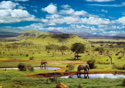 Educa - Legpuzzel - Nationaal Park Tsavo, Kenia - 500 stukjes