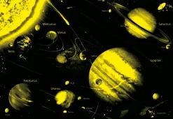 Educa - Legpuzzel - Neon, Nacht Zonder Licht - 1000 stukjes