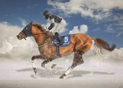 Educa - Legpuzzel - St Moritz Witte Finale - 1500 stukjes