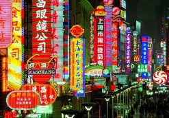 Educa - Legpuzzel - Stedelijk Landschap - 1000 stukjes