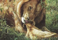 Educa - Legpuzzel - Wild Tenderness - 500 stukjes