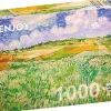 Enjoy - Legpuzzel - Vincent van Gogh Vlakte bij Auvers - 1000 stukjes