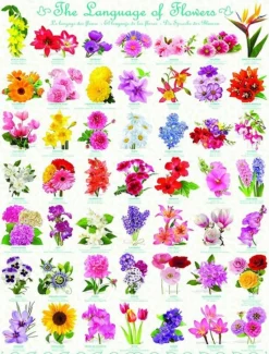 Eurographics - Legpuzzel - De Taal der Bloemen - 1000 stukjes