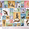 Eurographics - Legpuzzel - Yoga Cats - 1000 stukjes