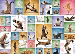 Eurographics - Legpuzzel - Yoga Cats - 1000 stukjes