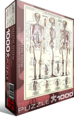 Eurographics - Legpuzzel - Het Skelet - 1000 stukjes
