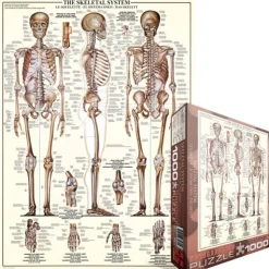 Eurographics - Legpuzzel - Het Skelet - 1000 stukjes