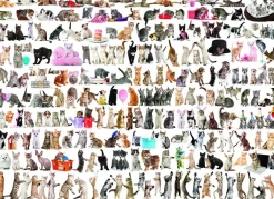 Eurographics - Legpuzzel - Kattenwereld - 1000 stukjes