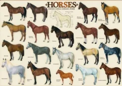 Eurographics - Legpuzzel - Collage Paarden - 1000 stukjes