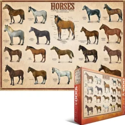 Eurographics - Legpuzzel - Collage Paarden - 1000 stukjes
