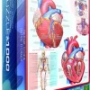 Eurographics - Legpuzzel - Het Hart - 1000 stukjes