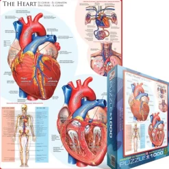 Eurographics - Legpuzzel - Het Hart - 1000 stukjes