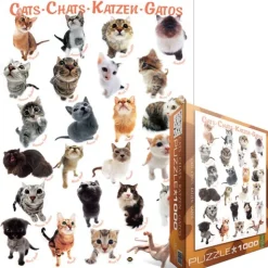 Eurographics - Legpuzzel - Kattenrassen - 1000 stukjes