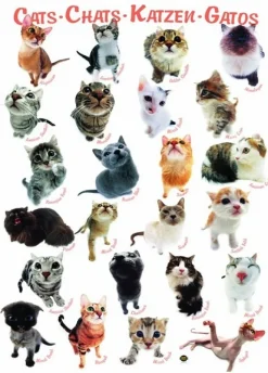 Eurographics - Legpuzzel - Kattenrassen - 1000 stukjes