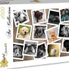 Grafika - Legpuzzel - Collage Honden - 1000 stukjes