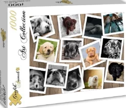 Grafika - Legpuzzel - Collage Honden - 1000 stukjes
