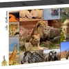 Grafika - Legpuzzel - Collage - Wildlife - 1500 stukjes