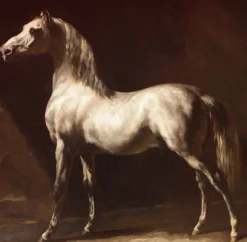 Grafika - Legpuzzel - Grijs met Witte Arabier - 1000 stukjes