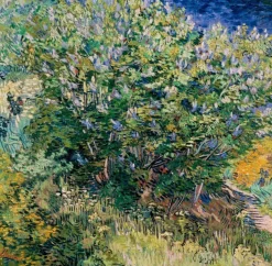 Grafika - Legpuzzel - Lelies 1889 - Vincent van Gogh - 1000 stukjes