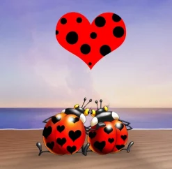 Grafika - Legpuzzel - Love - 1000 stukjes