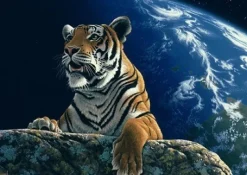 Grafika - Legpuzzel - Only One Home - 1000 stukjes