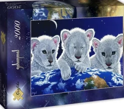 Grafika - Legpuzzel - Secret, Mystery and Hope - 2000 stukjes